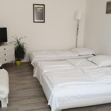 Apartament Schiller 58 براشوف المظهر الخارجي الصورة