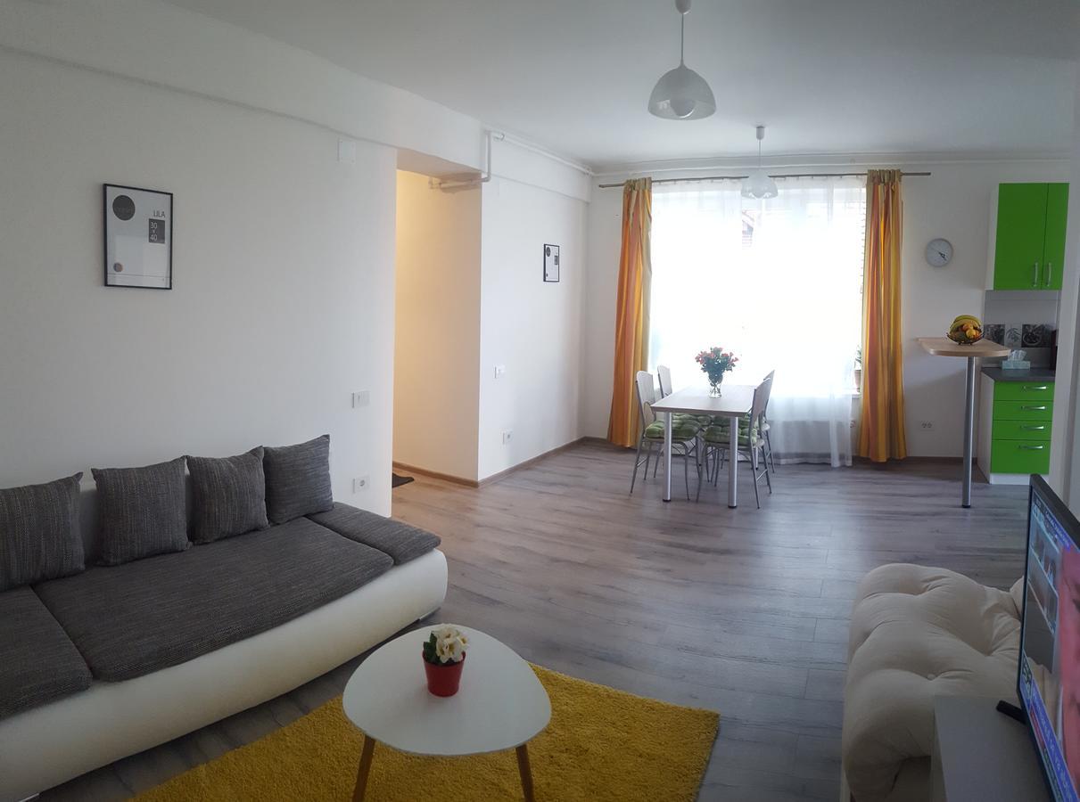Apartament Schiller 58 براشوف المظهر الخارجي الصورة