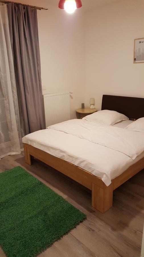 Apartament Schiller 58 براشوف المظهر الخارجي الصورة