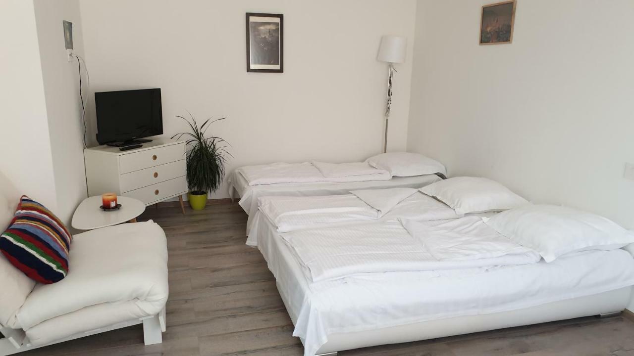 Apartament Schiller 58 براشوف المظهر الخارجي الصورة